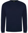 Pro sweatshirt