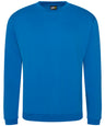 Pro sweatshirt