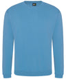 Pro sweatshirt