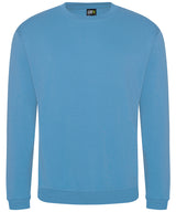 Pro sweatshirt