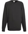 Lightweight raglan sweatshirt