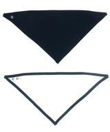 Bandana bib