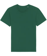 Rocker the essential unisex t-shirt (STTU758)