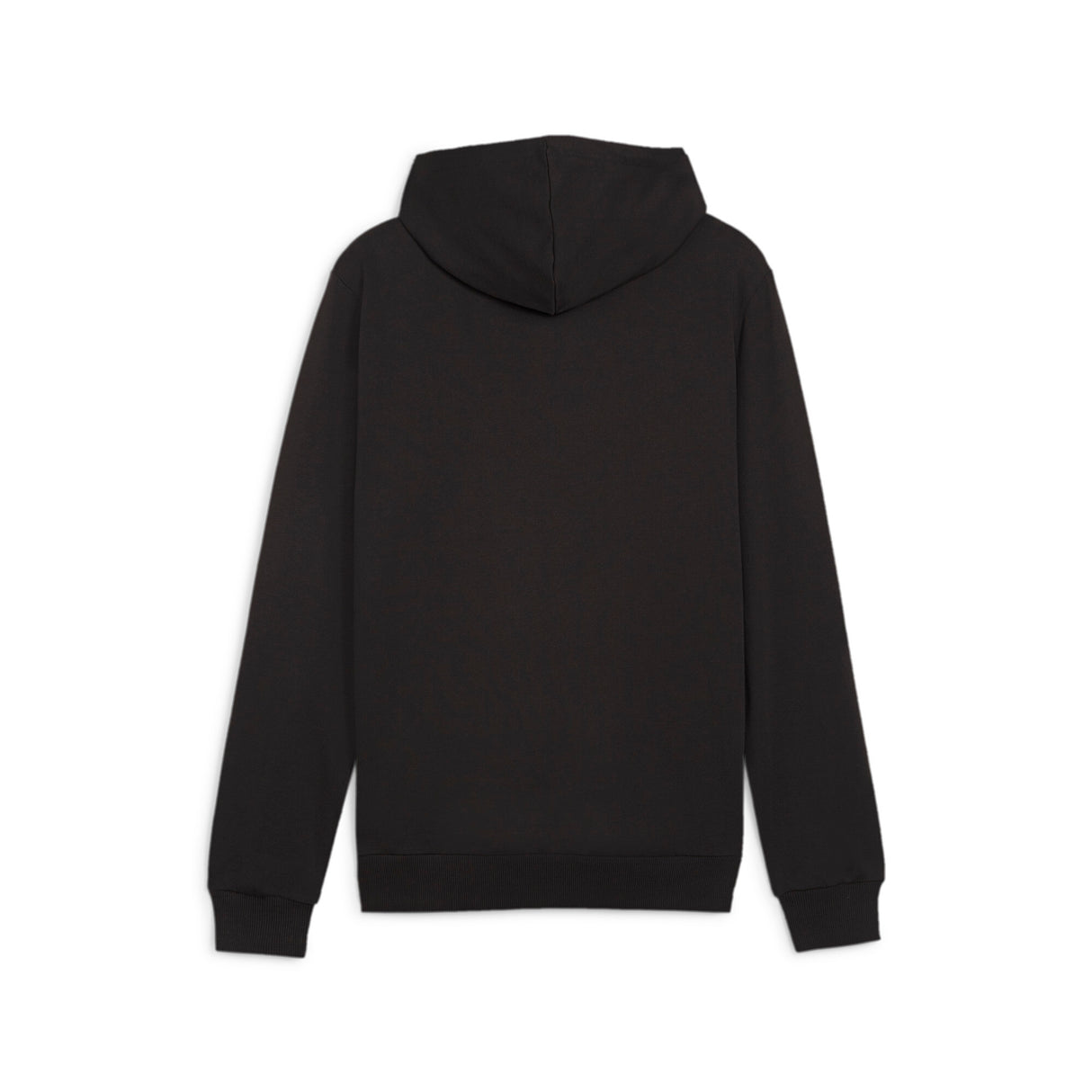 TeamGOAL Casuals Pullover Hoodie - Puma Black