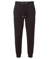 Anthem jog pants