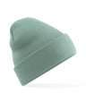 Original cuffed beanie