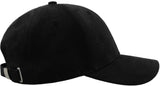 Atlantis Fam Sueded 6 Panel Cap