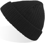 Atlantis Docker Short Beanie With Turn Up