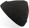 Atlantis Docker Short Beanie With Turn Up