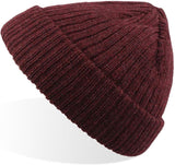 Atlantis Docker Short Beanie With Turn Up
