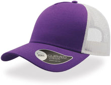 Purple/White