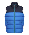 Vintage puffer vest