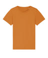 Kids mini Creator iconic t-shirt (STTK909)