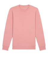 Unisex Changer iconic crew neck sweatshirt (STSU823)