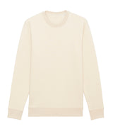 Unisex Changer iconic crew neck sweatshirt (STSU823)