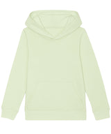 Kids mini Cruiser iconic hoodie sweatshirt (STSK911)
