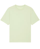 Fuser unisex relaxed t-shirt (STTU759)