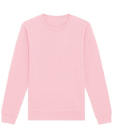 Roller unisex crew neck sweatshirt (STSU868)