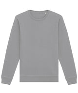 Roller unisex crew neck sweatshirt (STSU868)