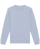 Roller unisex crew neck sweatshirt (STSU868)