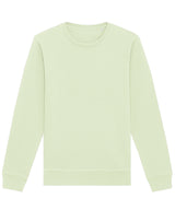 Roller unisex crew neck sweatshirt (STSU868)