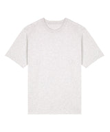 Freestyler relaxed heavy t-shirt (STTU788)