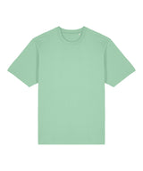 Freestyler relaxed heavy t-shirt (STTU788)