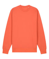 Unisex Changer 2.0 iconic crew neck sweatshirt (STSU178)