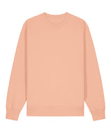 Unisex Changer 2.0 iconic crew neck sweatshirt (STSU178)