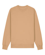 Unisex Changer 2.0 iconic crew neck sweatshirt (STSU178)