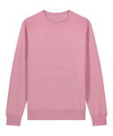 Unisex Changer 2.0 iconic crew neck sweatshirt (STSU178)