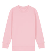 Kids Mini Changer 2.0 iconic crew neck sweatshirt (STSK181)