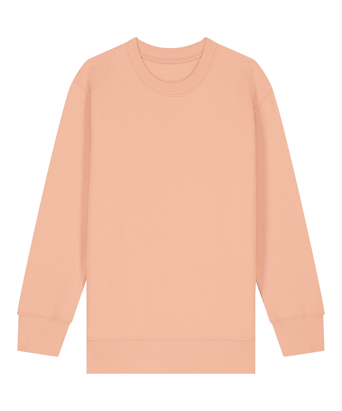 Kids Mini Changer 2.0 iconic crew neck sweatshirt (STSK181)