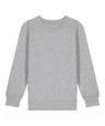 Kids Mini Changer 2.0 iconic crew neck sweatshirt (STSK181)