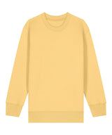 Kids Mini Changer 2.0 iconic crew neck sweatshirt (STSK181)