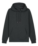 Unisex Cruiser 2.0 iconic hoodie sweatshirt (STSU177)