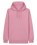 Unisex Cruiser 2.0 iconic hoodie sweatshirt (STSU177)