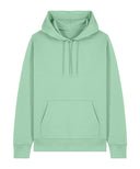 Unisex Cruiser 2.0 iconic hoodie sweatshirt (STSU177)