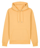 Unisex Cruiser 2.0 iconic hoodie sweatshirt (STSU177)