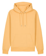 Unisex Cruiser 2.0 iconic hoodie sweatshirt (STSU177)