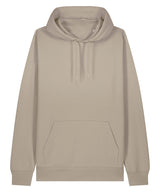 Unisex Cruiser 2.0 iconic hoodie sweatshirt (STSU177)