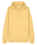 Unisex Cruiser 2.0 iconic hoodie sweatshirt (STSU177)