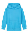 Kids Mini Cruiser 2.0 iconic hoodie sweatshirt (STSK180)