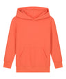 Kids Mini Cruiser 2.0 iconic hoodie sweatshirt (STSK180)