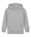 Kids Mini Cruiser 2.0 iconic hoodie sweatshirt (STSK180)