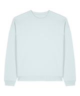 Radder 2.0 (STSU208)