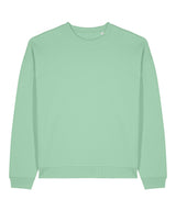 Radder 2.0 (STSU208)