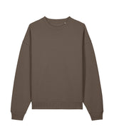 Radder 2.0 (STSU208)