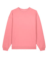 Radder 2.0 (STSU208)