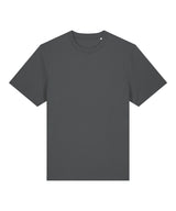 Unisex Sparker 2.0 heavy t-shirt (STTU171)